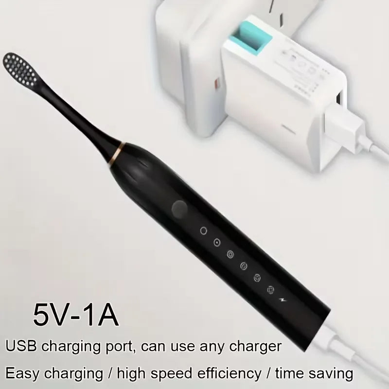 Electric Toothbrush with 4 Brushes Head